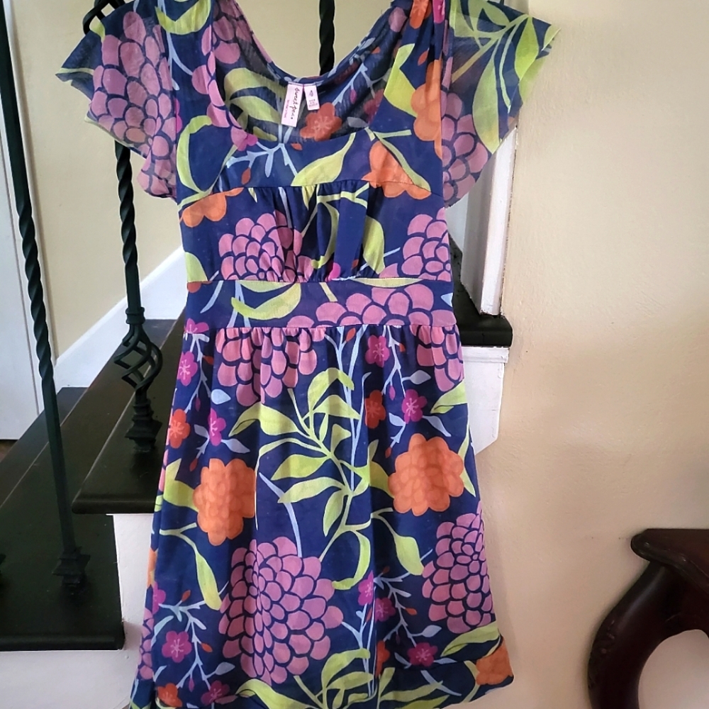 Adorable dress w/grapes. Great to wear to a winery! Size small.